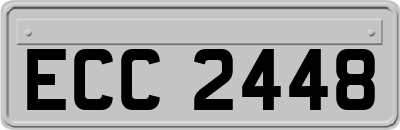 ECC2448
