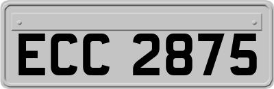 ECC2875