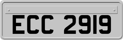 ECC2919