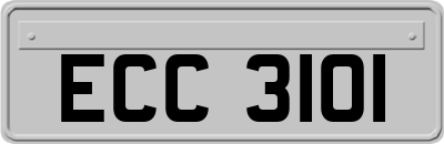 ECC3101