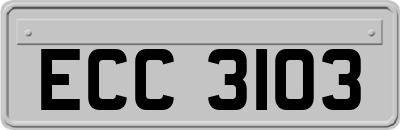 ECC3103