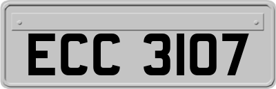 ECC3107