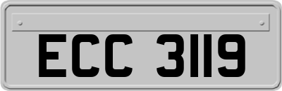 ECC3119