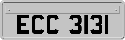 ECC3131