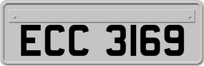 ECC3169