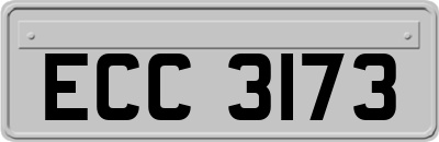 ECC3173
