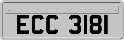 ECC3181