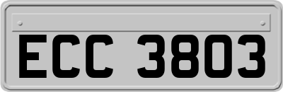 ECC3803