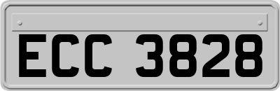 ECC3828