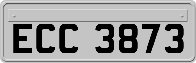 ECC3873