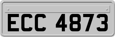 ECC4873