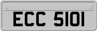ECC5101