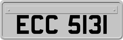 ECC5131