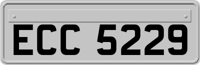 ECC5229