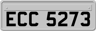 ECC5273
