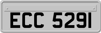 ECC5291