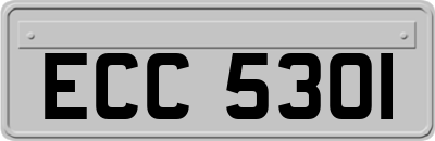 ECC5301