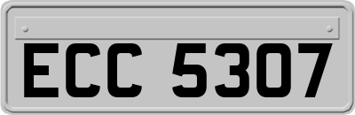 ECC5307