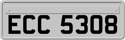 ECC5308