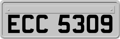 ECC5309