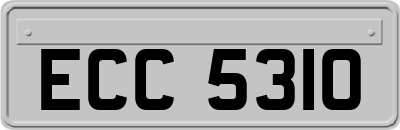 ECC5310