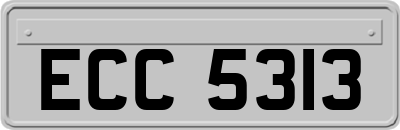 ECC5313
