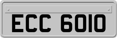 ECC6010