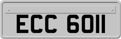 ECC6011