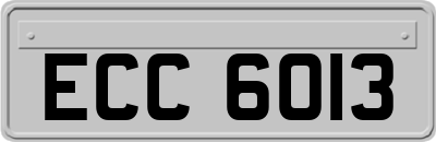 ECC6013