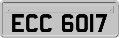ECC6017