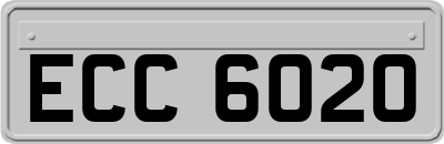 ECC6020