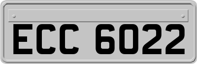 ECC6022