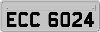 ECC6024