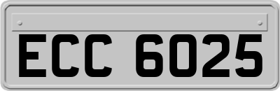 ECC6025