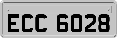 ECC6028