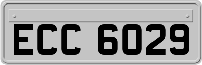 ECC6029
