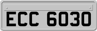 ECC6030