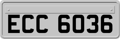 ECC6036