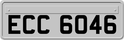 ECC6046