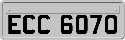 ECC6070