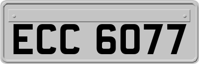 ECC6077