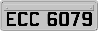 ECC6079