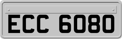 ECC6080