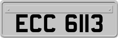 ECC6113