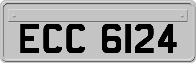 ECC6124