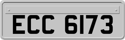 ECC6173
