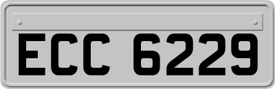 ECC6229