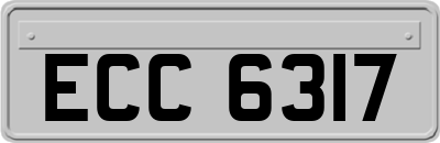 ECC6317