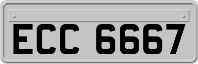 ECC6667