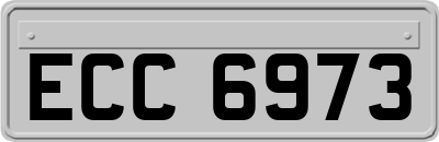 ECC6973